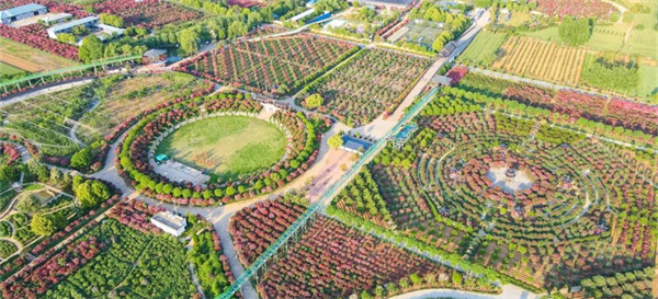 南陽月季博覽園
